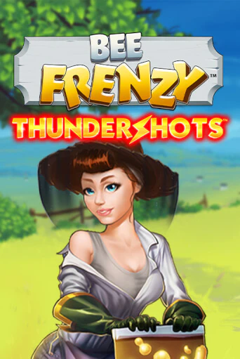 Бесплатная версия игры Bee Frenzy | VAVADA KZ 